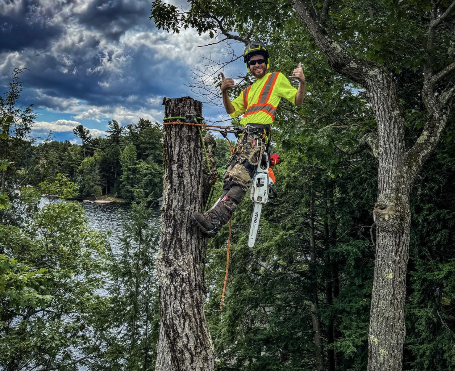 Blackstone Tree service in Muskoka