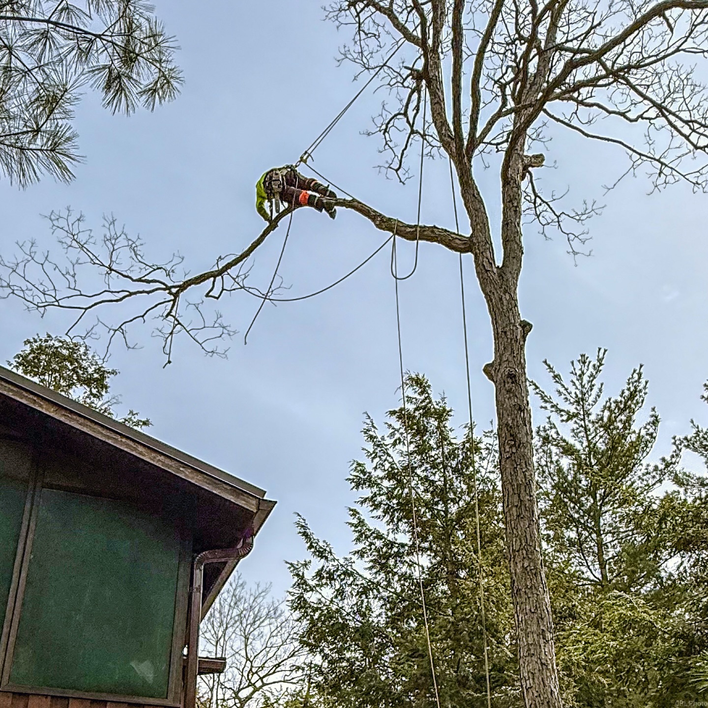 Stump grinding Parry Sound