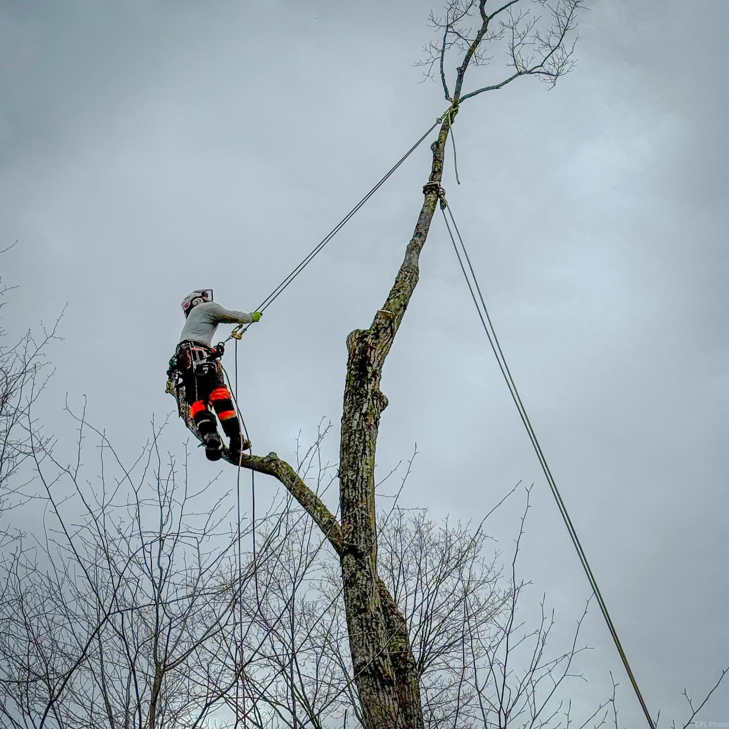 Storm damage cleanup