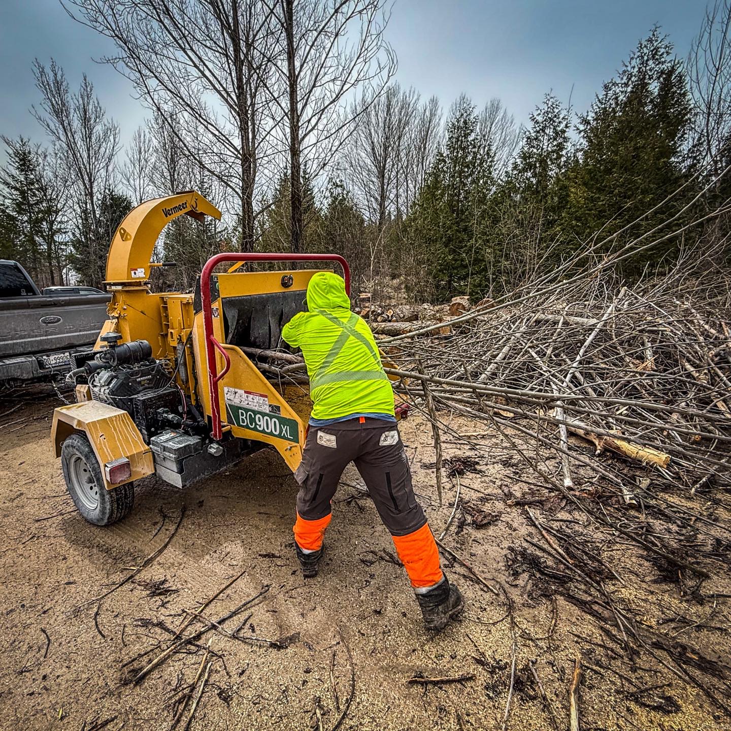 Tree pruning Muskoka