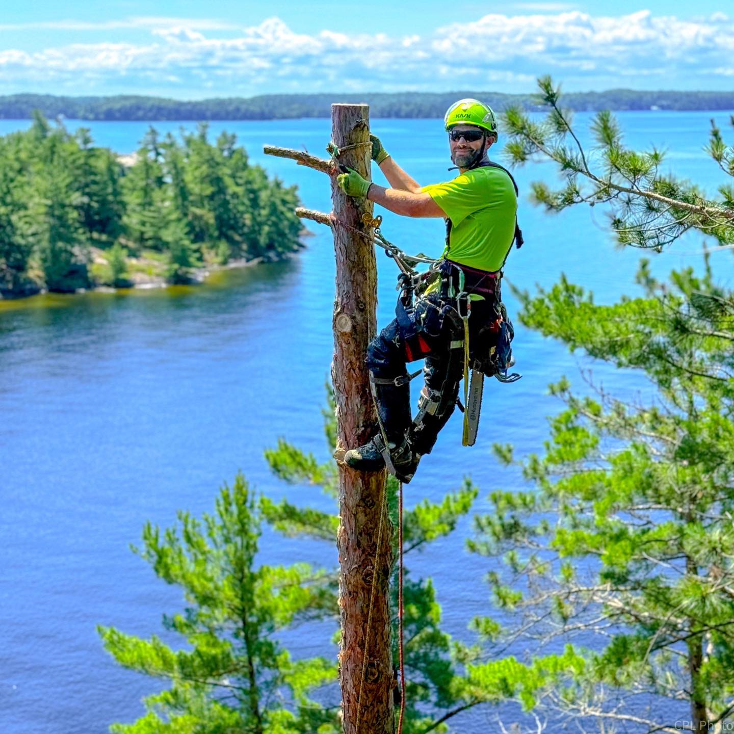 Blackstone Tree project 15