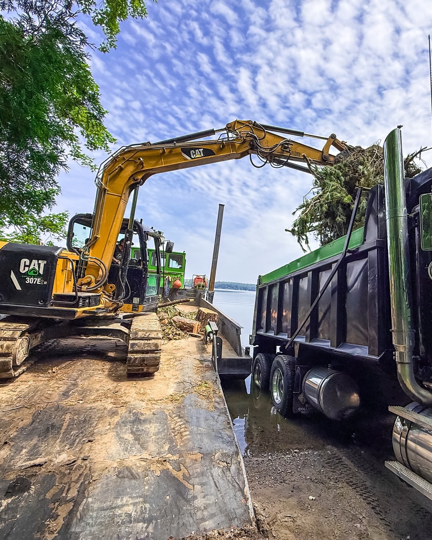 Blackstone Tree project 21