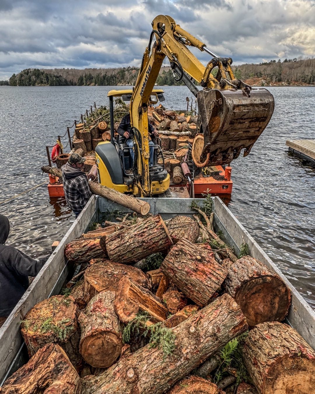 Blackstone Tree project 37